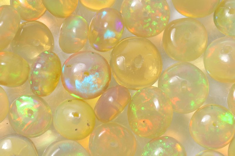 Opal (Ethiopian)/ss Earrings